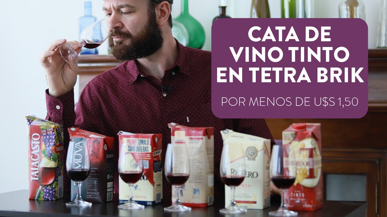 Cata de Vino Tinto Argentino en Tetra Brik | Por menos de U$S 1.50