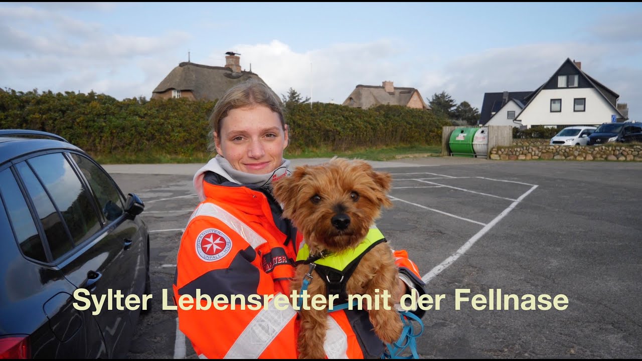 Rettungshundestaffel auf Sylt - Teil 1