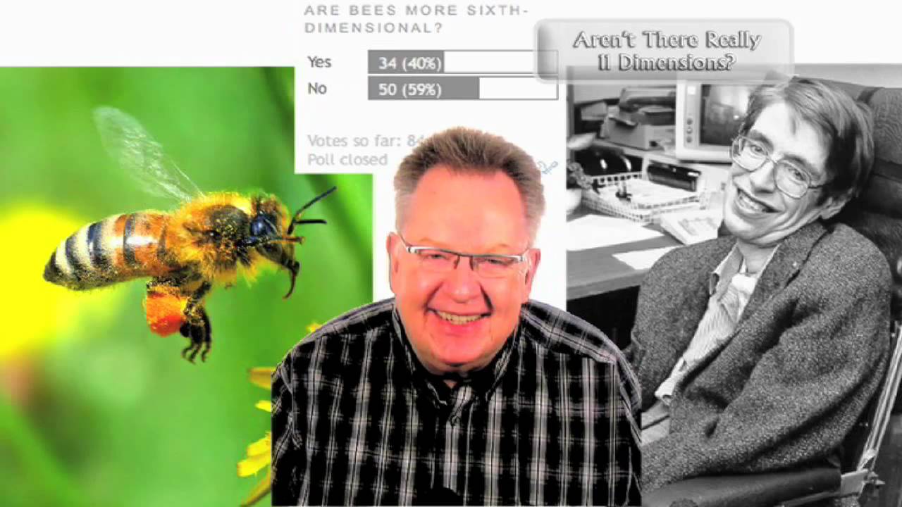 Bees and Tangential Thinking