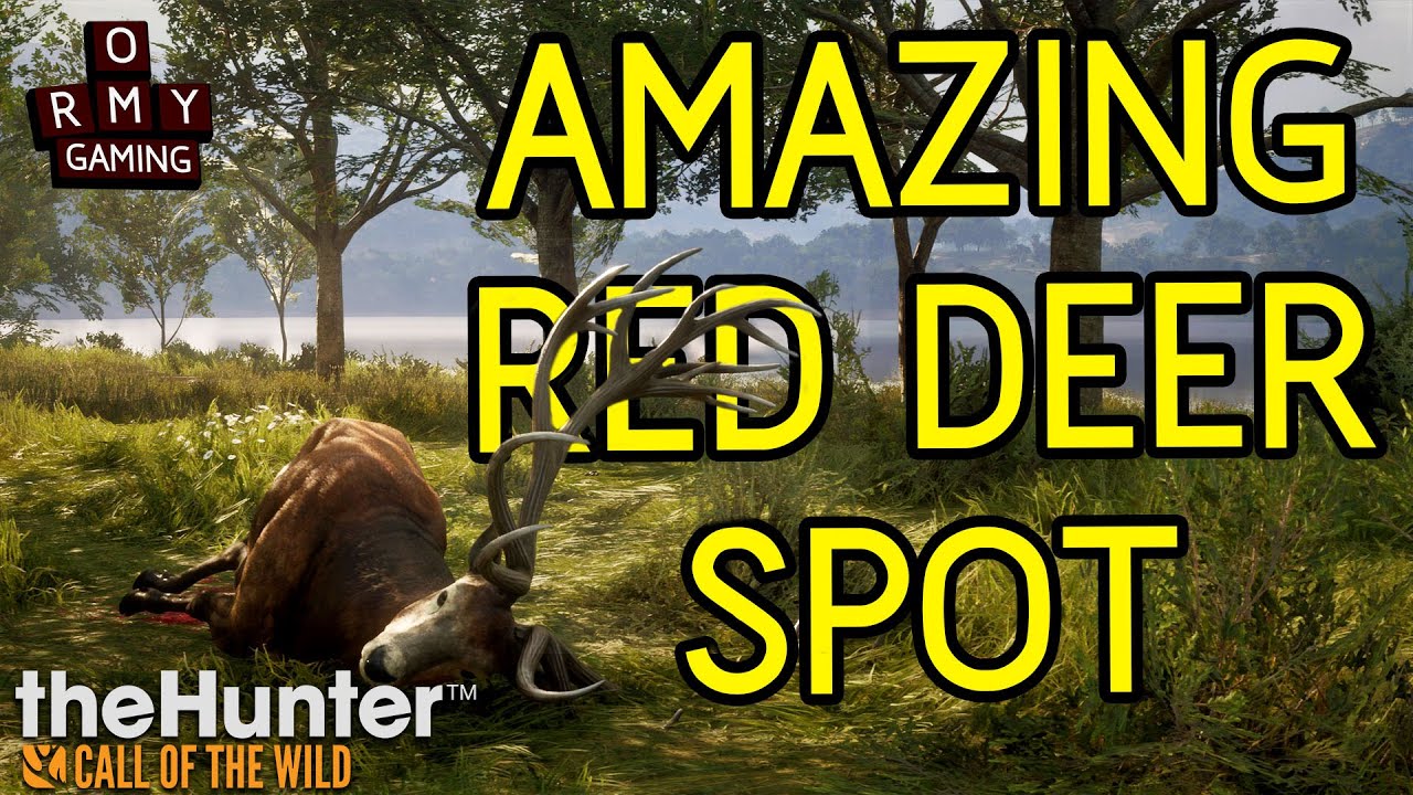 Amazing red deer spot in Cuatro Colinas and a diamond hare (theHunter call of the wild)