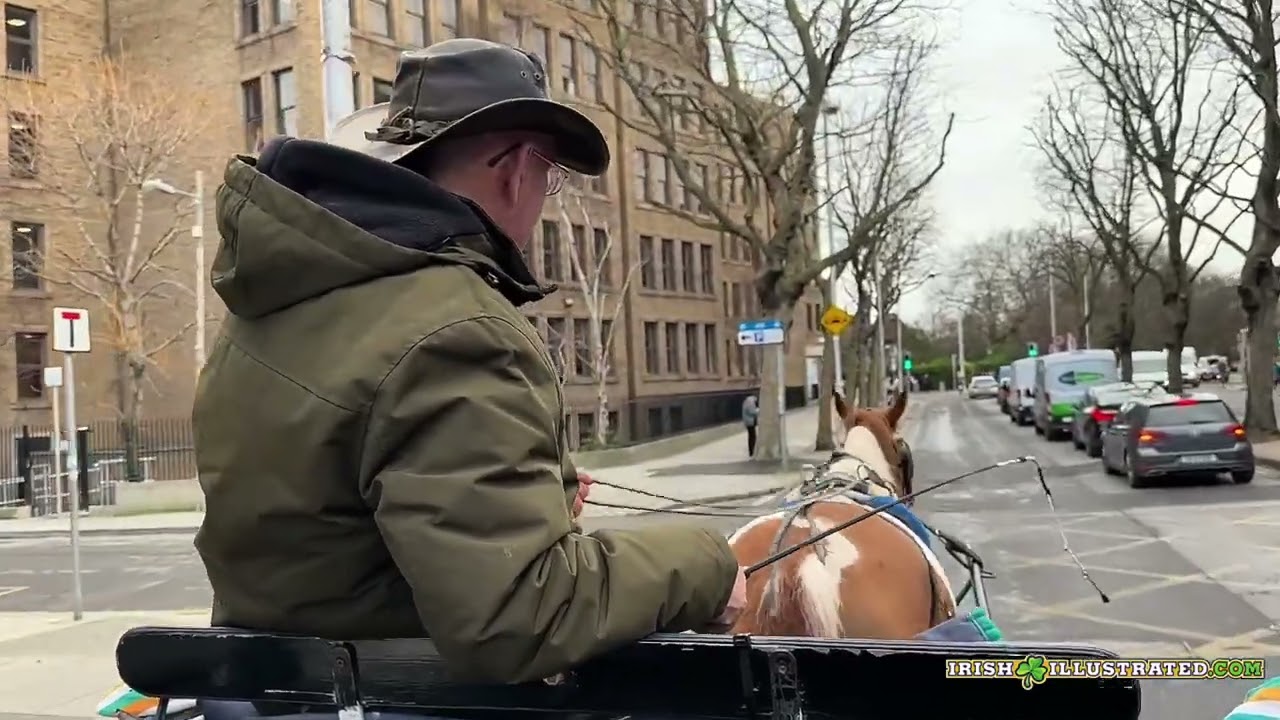 Irish Illustrated in Dublin: Carriage Tours of Dublin