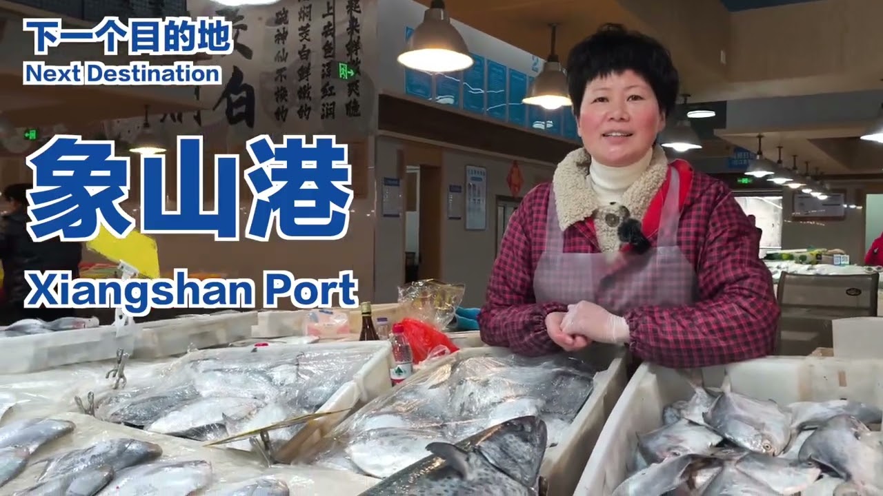 Back to Xiangshan: A Fishy Tale (1. Platz GREEN REPORT Junior 2025)