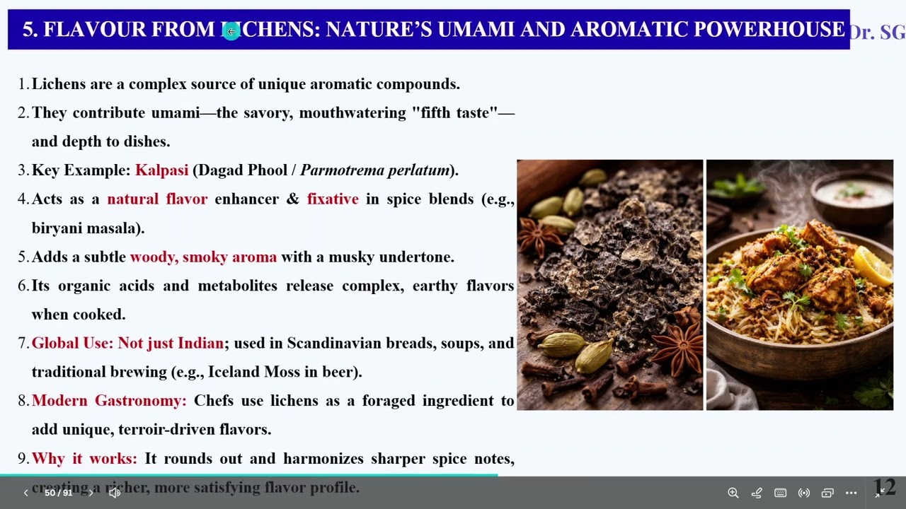 4 Lichens Economic Importance Part I  21 02 2026