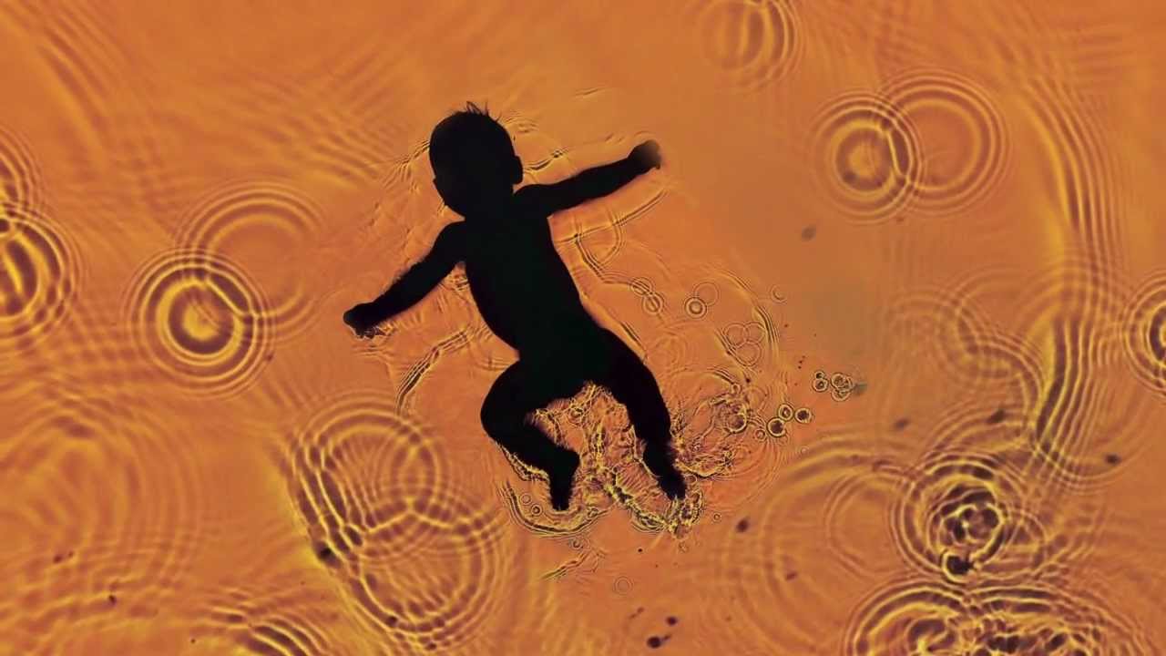 Far From the Tree - book trailer - 30 Seconds