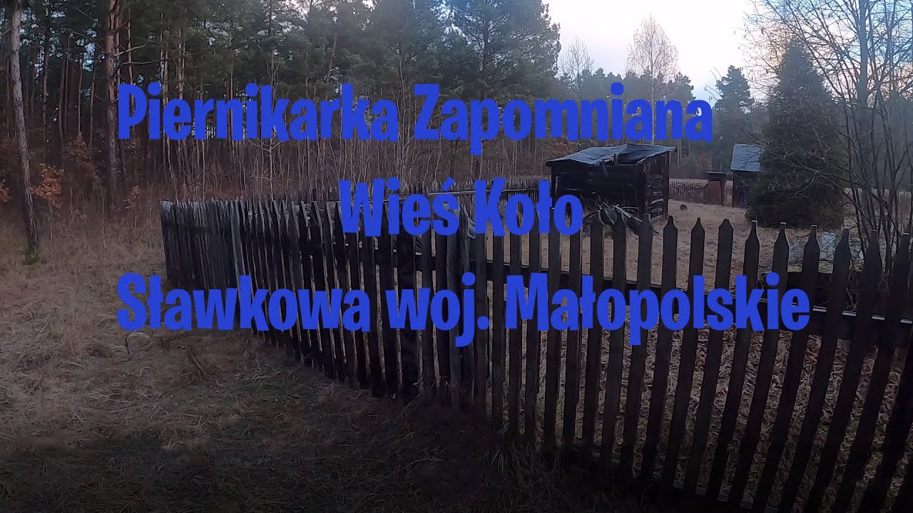 Piernikarka Zapomniana Wieś Koło Sławkowa woj. Małpolskim