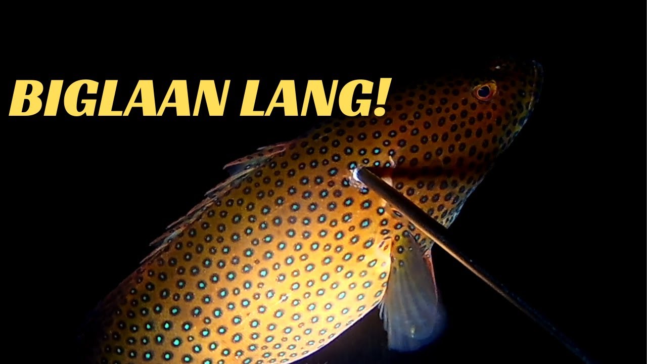 vlog 133 ►paboritong spot ni Yayang V ►NIGHT SPEARFISHING ADVENTURE