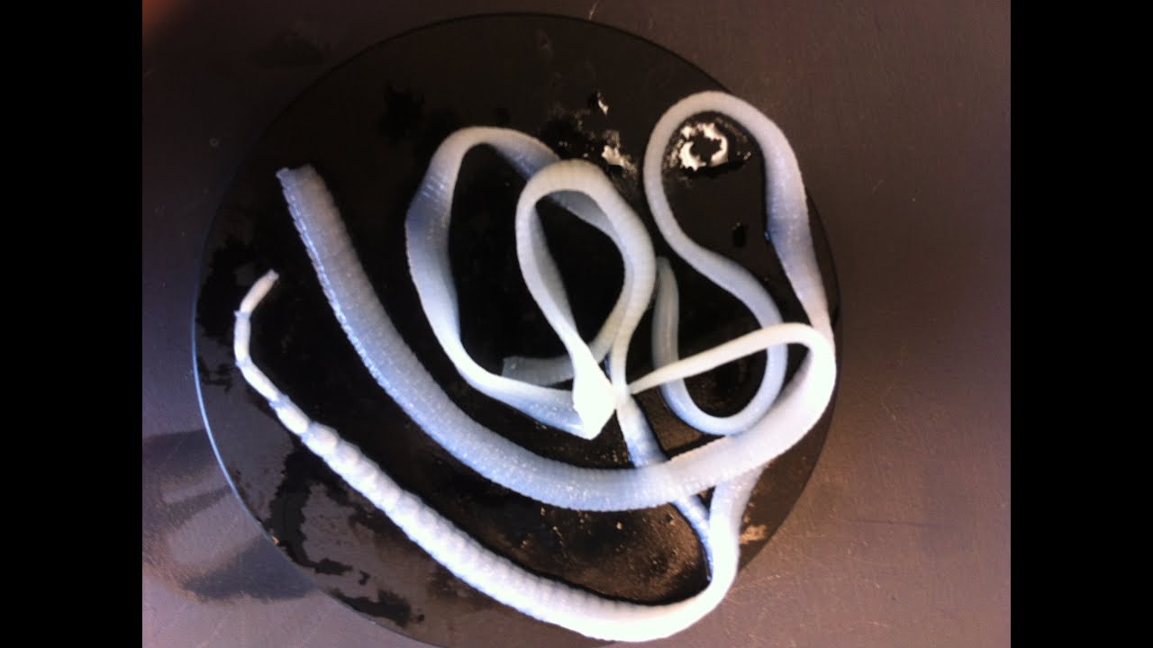 Parasites! Episode 4: Tapeworms