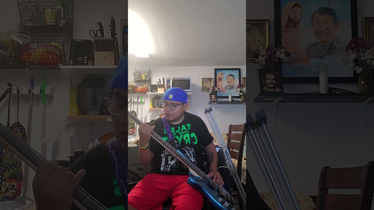 Subeme La Radio - Enrique Iglesias bass cover