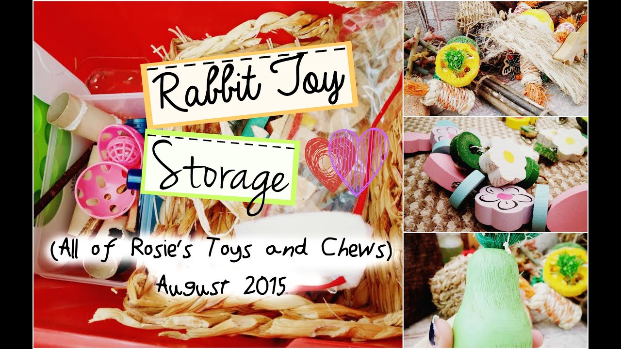 Rabbit Toy Storage: All Of Rosie's Toys & Chews | RosieBunneh