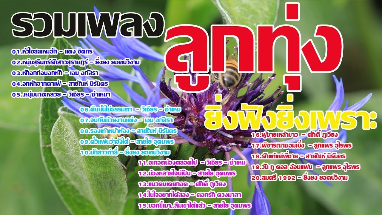 รวมเพลงลูกทุ่งยิ่งฟังยิ่งเพราะ - เพลงเพราะต่อเนื่อง