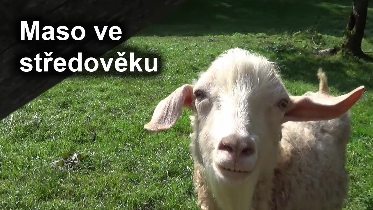 Jak moc a jaké maso se jedlo?  - Jídlo ve středověku