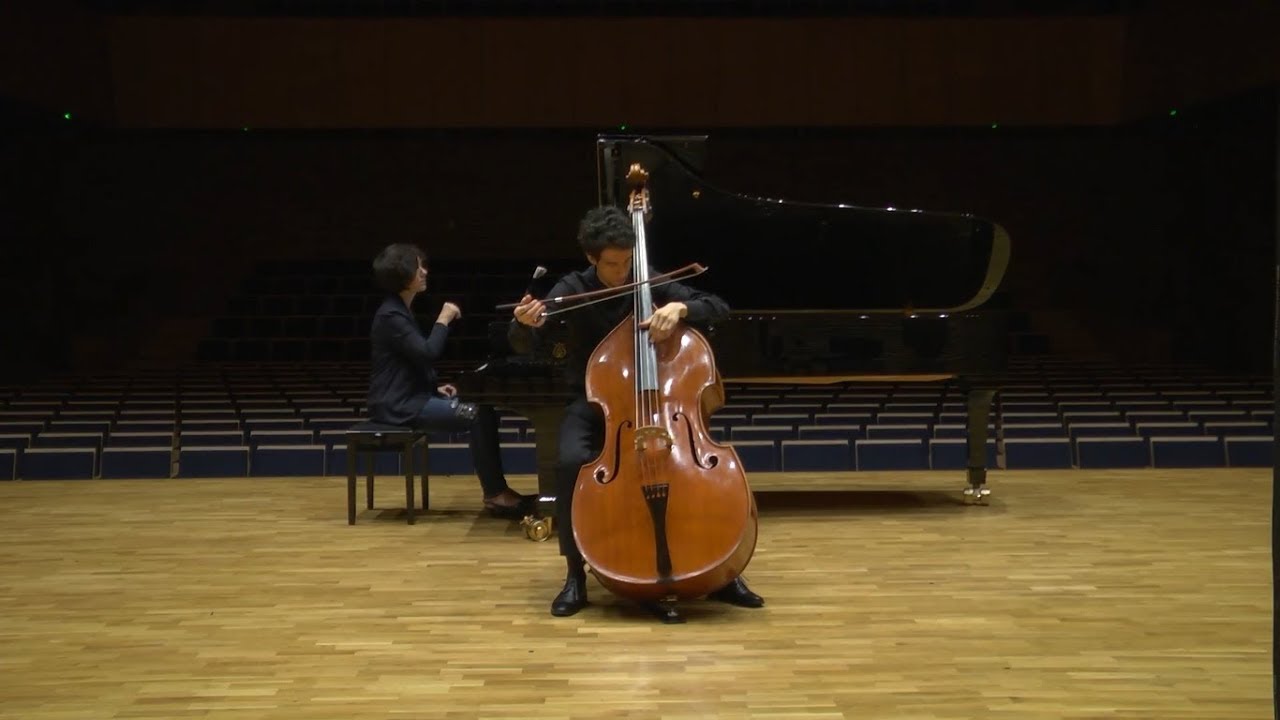J.M.  Sperger Sonata D Major T 40 Albert Śliwiński