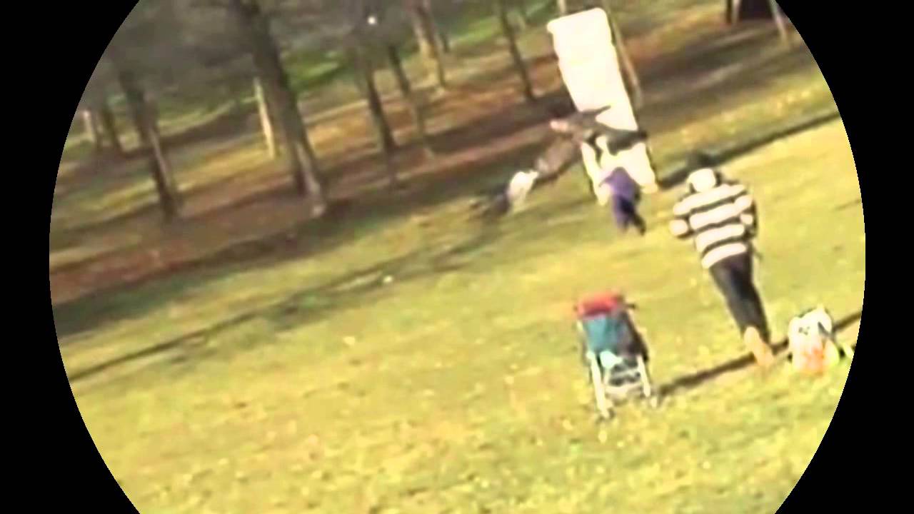 Golden Eagle Snatches Kid [Fake PROOF]