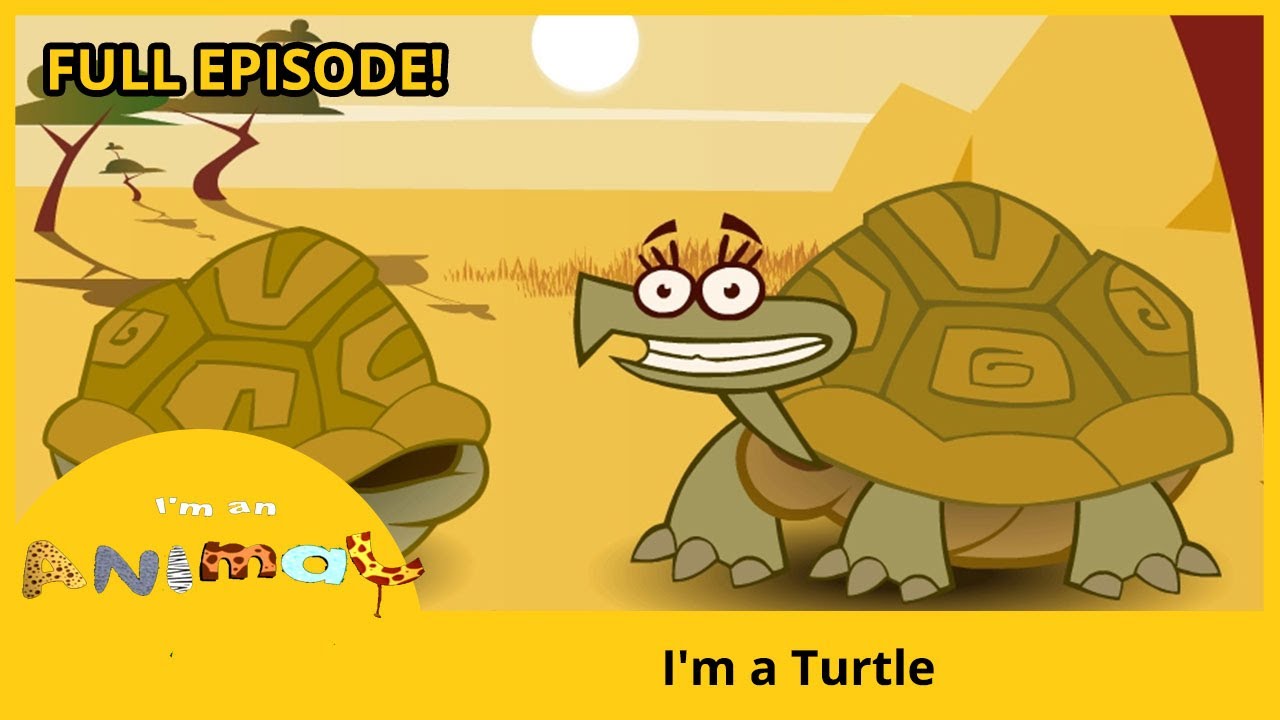 🐢 I'm a Turtle | I'M AN ANIMAL