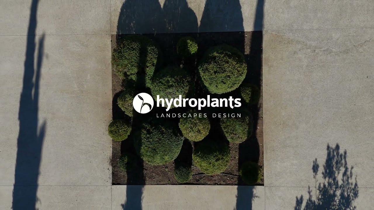 🌱 Prima. Durante. Dopo. La rinascita del parco aziendale Italpizza.