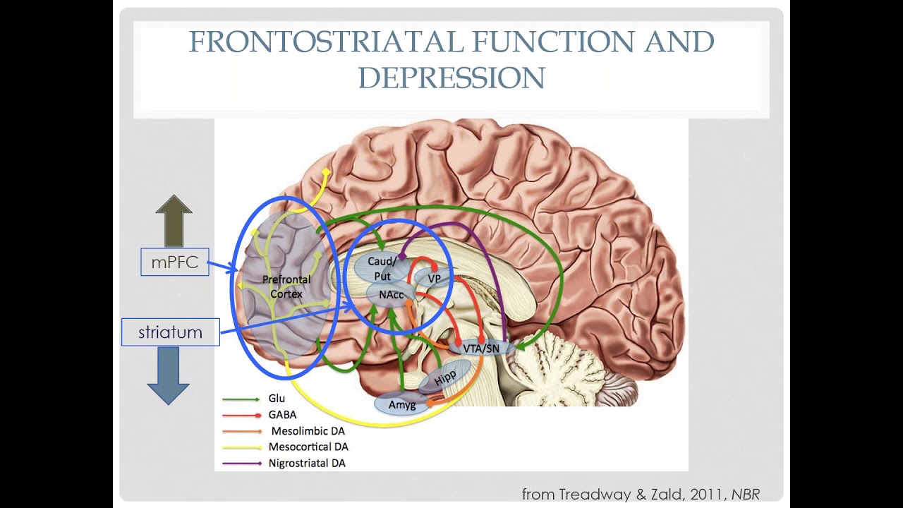 Not Feeling It: Adolescent Depression and Reward Processing Gone Awry
