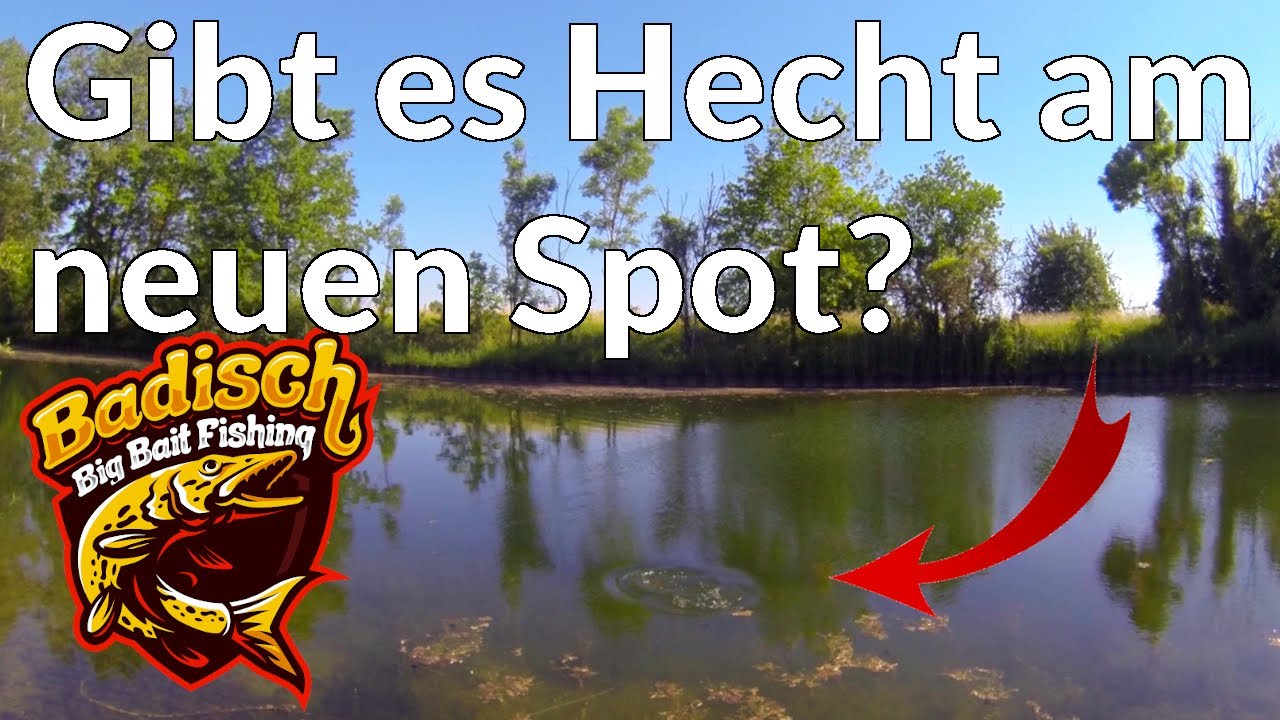 Wie man Hechte am neuen Spot fängt - Kanal-Session