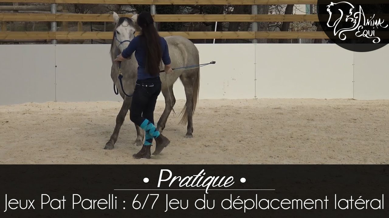 • PRATIQUE • Jeux Pat Parelli : 6/7 Jeu du déplacement latéral