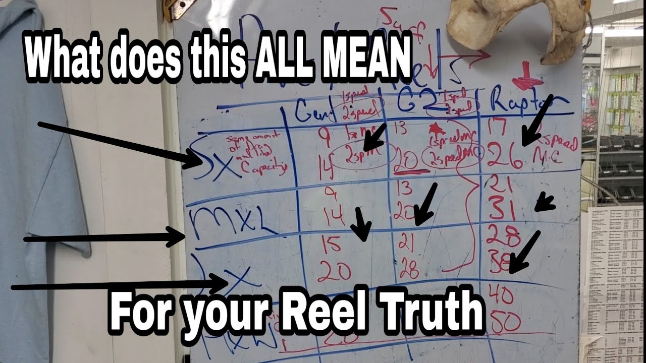 Avet Reels Explained Easy