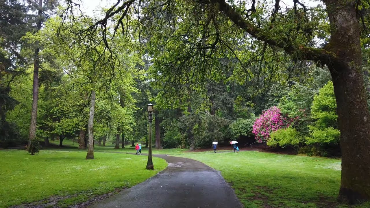 Portland Lockdown Walk - Laurelhurst Park, Burnside & Belmont Street Walk in the Rain 4K