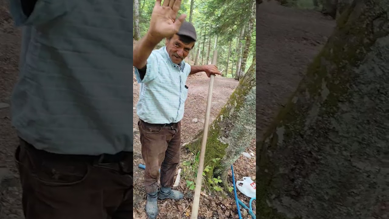 Sinop durağan geyikardicindaki çeşme mim suyu akışı hekez pikniğe ğidebilir