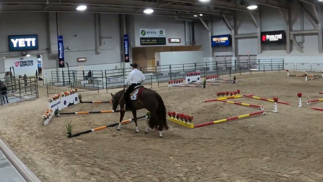 Las Vegas Silver Dollar Circuit Horse Show: Trail event competition, Senior category
