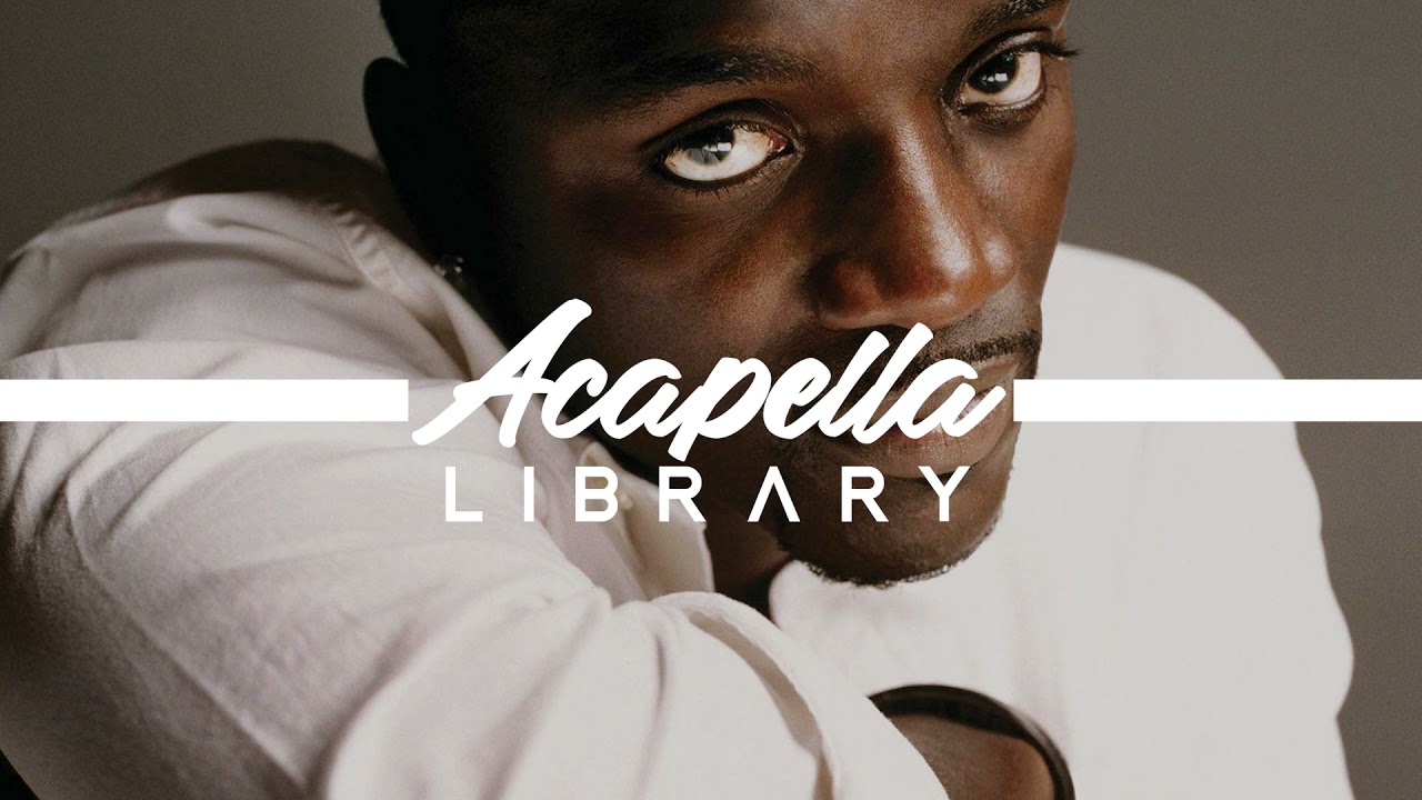 Akon - Smack That ft. Eminem (Acapella - Vocals Only)