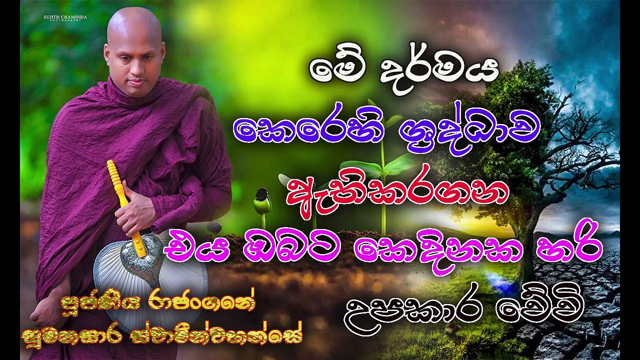 Rajangane Sumanasara Thero