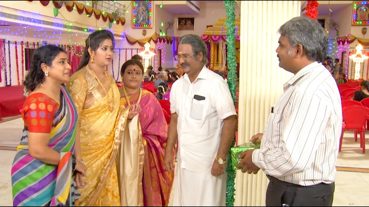 Priyamanaval Epsiode 249,  14/11/15