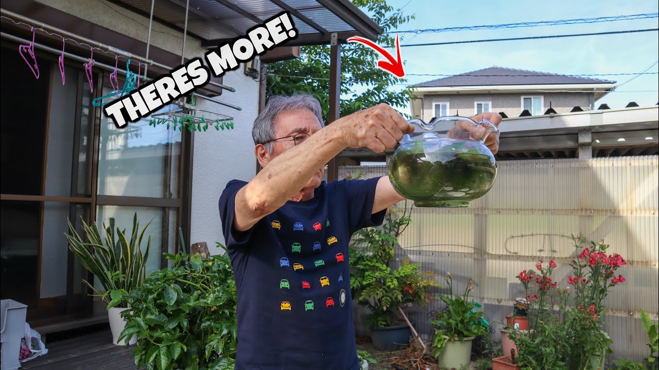 My Uncles FISH TANKS in JAPAN!