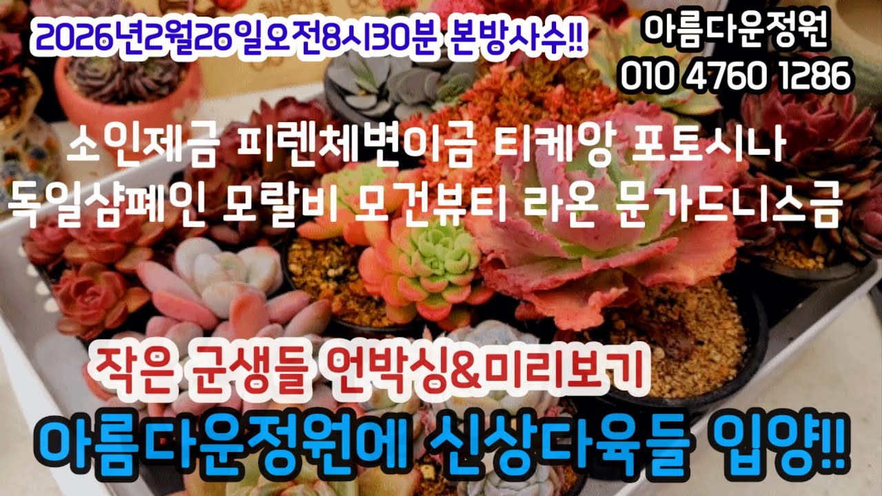 아름다운정원에 봄신상 언박싱!! 2026년 2월 26일8시30분본방사수!!#초보다육 #다육쇼핑 