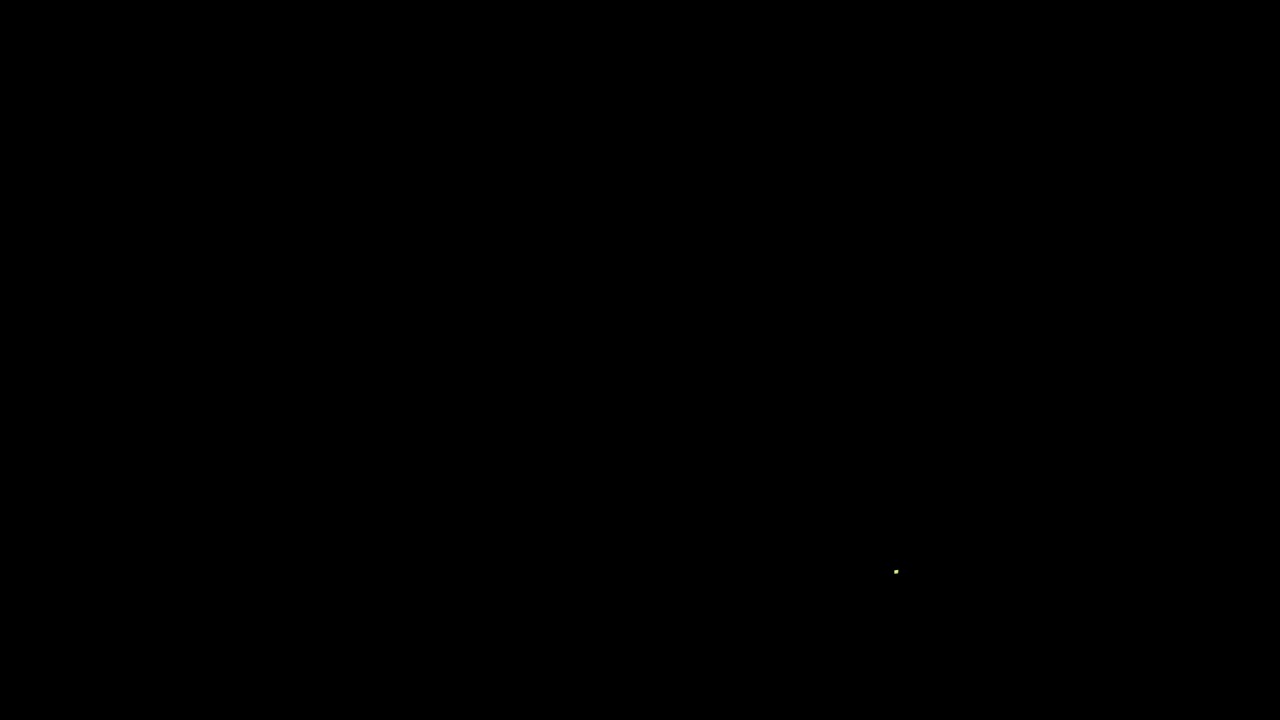 creepy bird sound at midnight