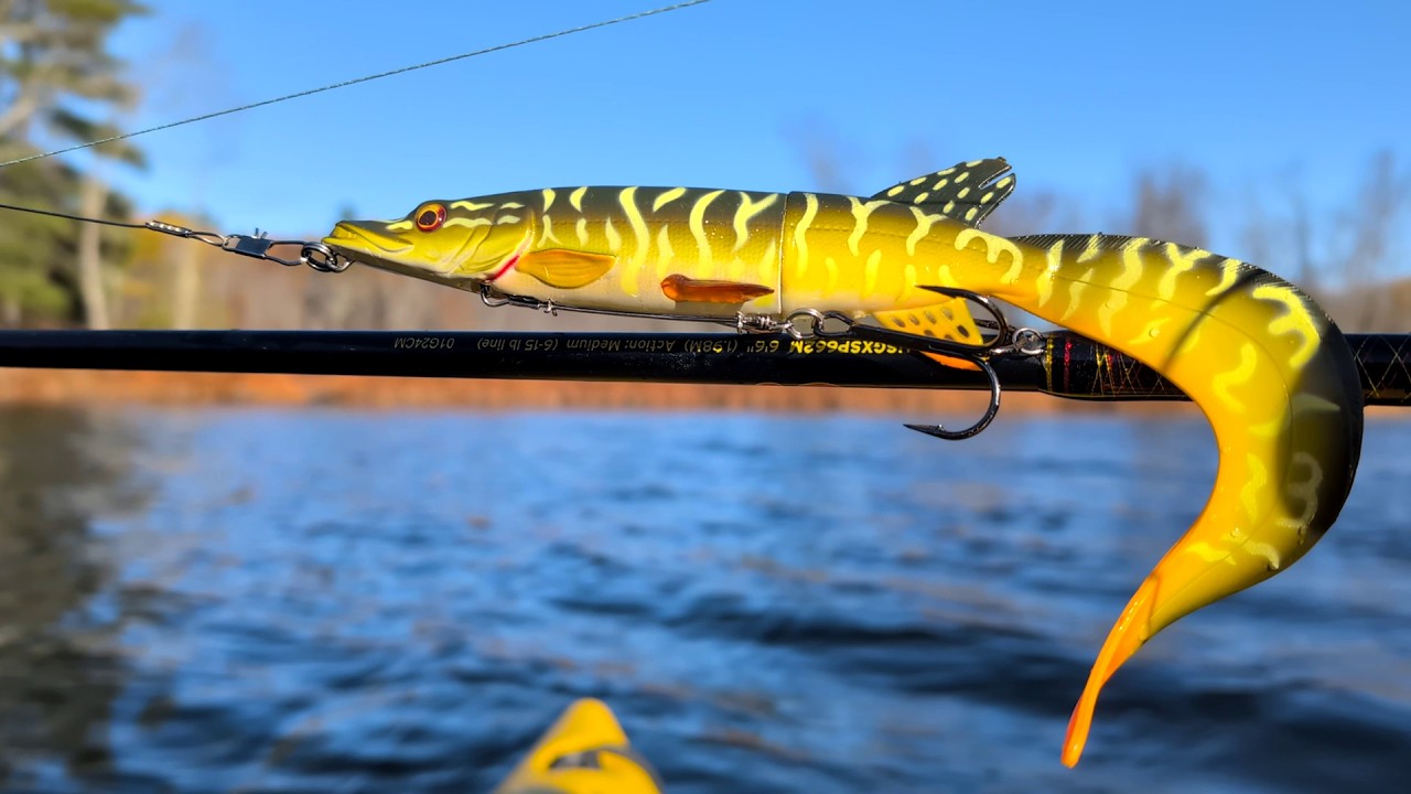 Do Musky Eat Pike?