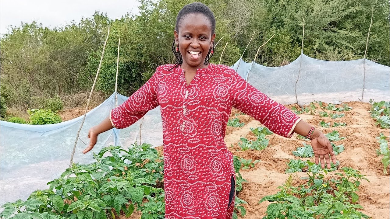 Kitheri preparations 