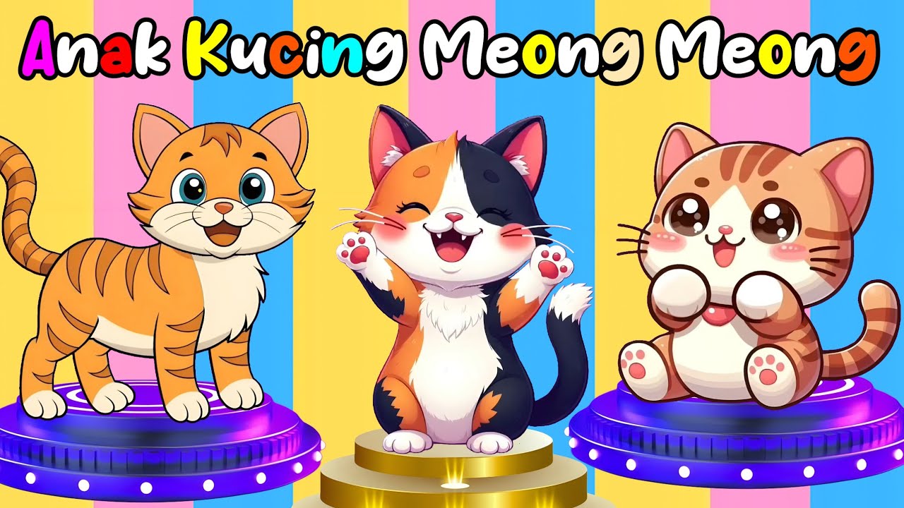 Lagu Anak Anak | Anak Kucing Meong Meong | Miaw Miaw Anak Kucing