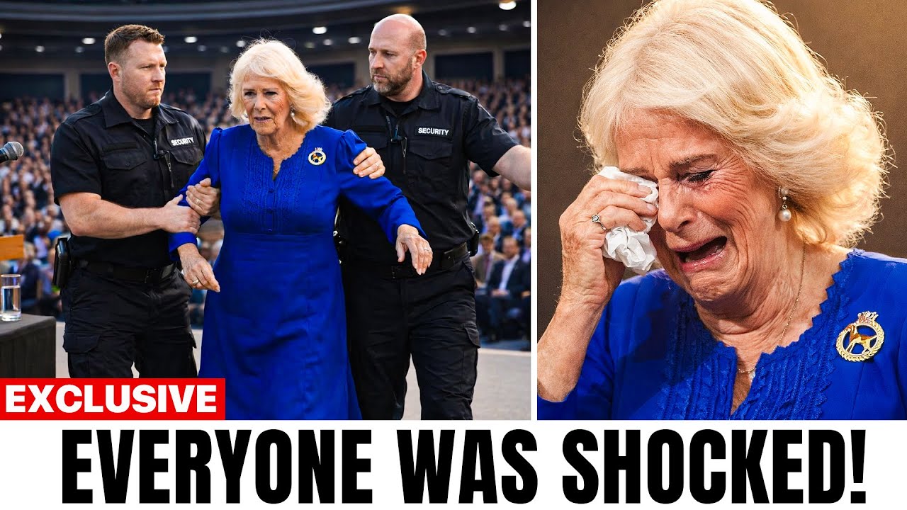 Camilla Got Kicked Off Stage Immediately After This Happened