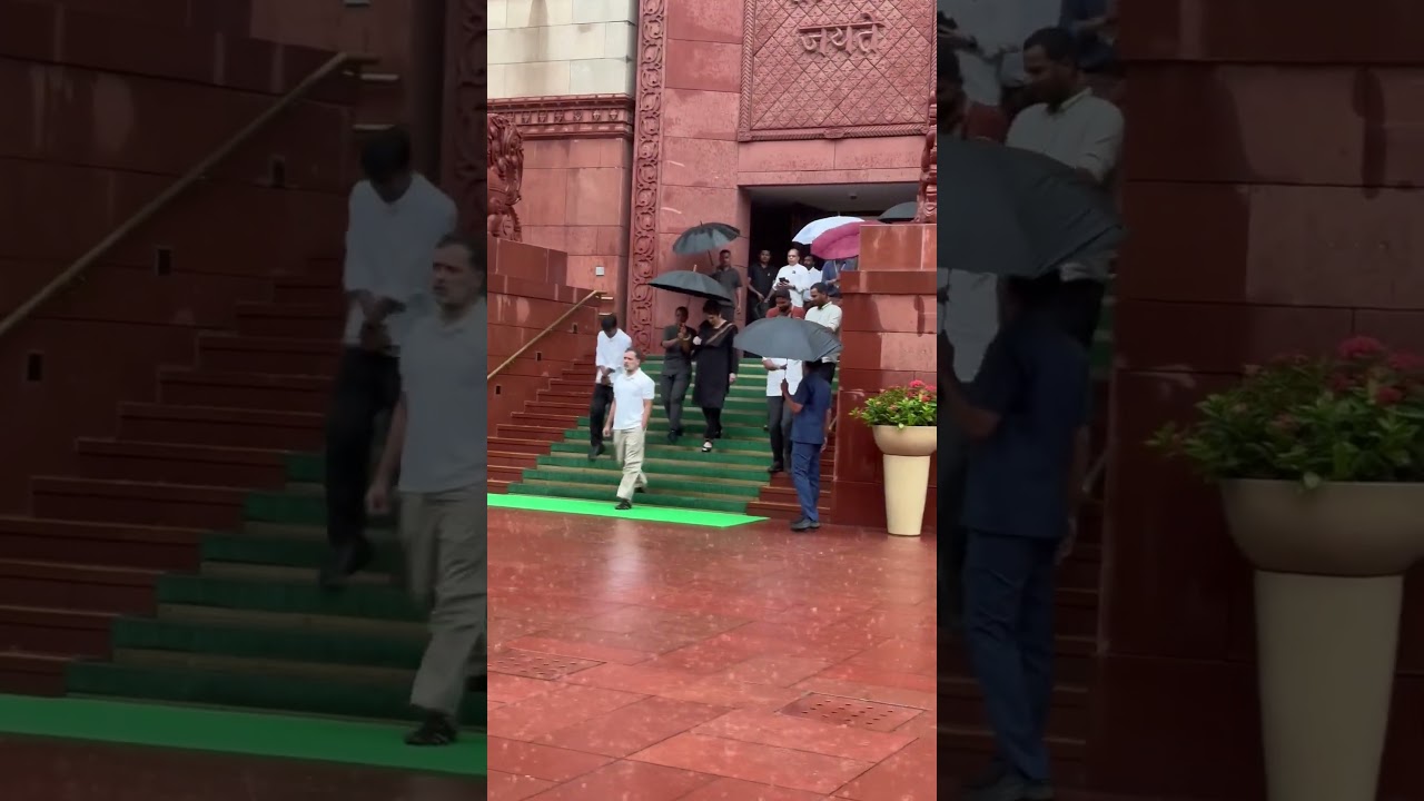 Leader of Opposition Shri RahulnGandhi  ji in Parliament House complex today l #viralvideo