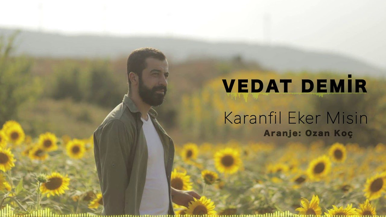 Vedat Demir - Karanfil Eker Misin