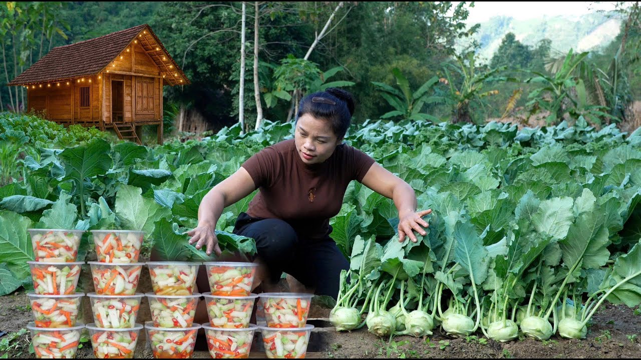 Harvesting vegetables from the garden: a young woman gives up her career to live freely.