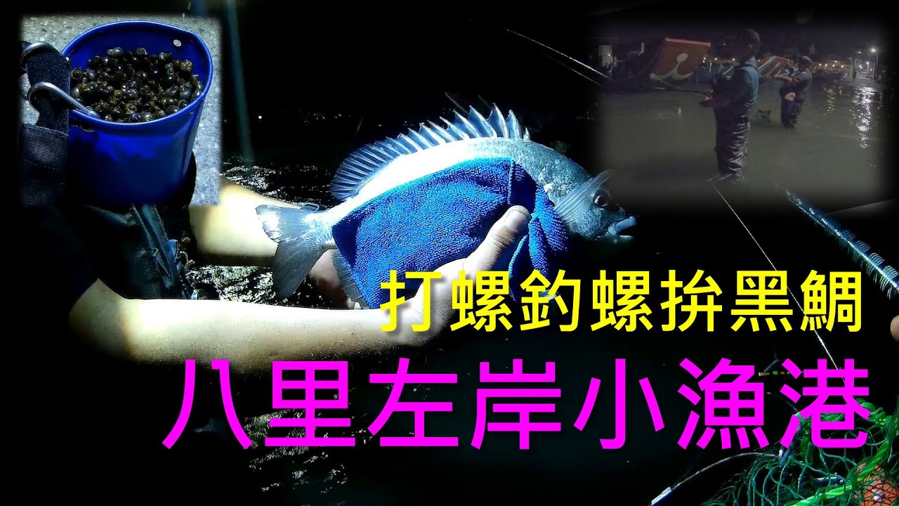 釣魚記/夜釣/八里左岸/打螺釣螺，涉水夜戰黑鯛  Rock fishing in Taiwan