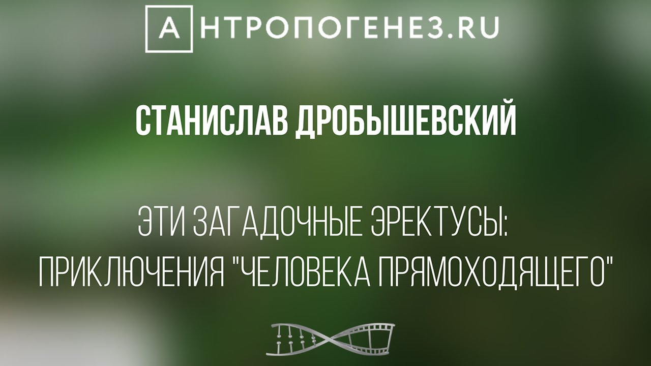 Эти загадочные эректусы: приключения 
