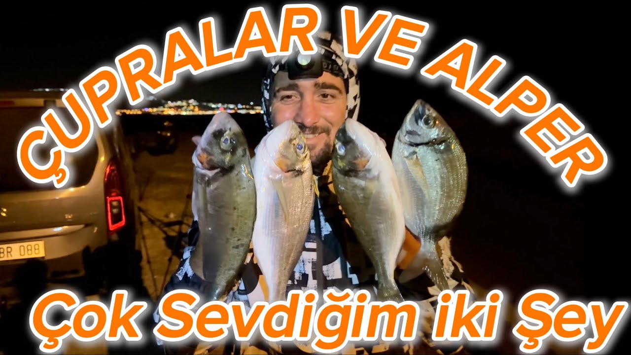 ÇUPRA VE ALPER Çok sevdiğim iki şey 😍#cupra #balıkavıvideoları #fishing #balik #balık #balıkavı
