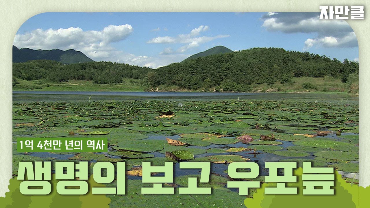 [자연과의 만남 뭉클][숨터＃10]생명의 보고 우포늪 | KBS 방송