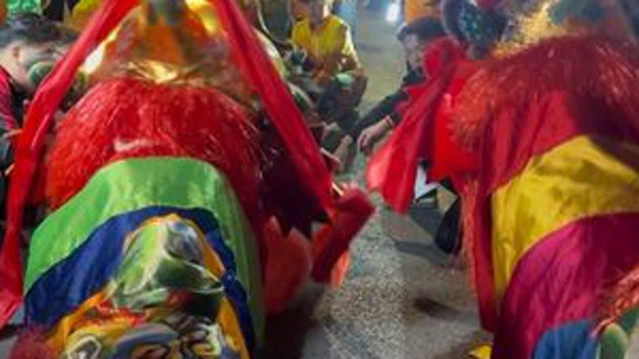 汕尾红草镇新厝村看虎狮咯#海陆丰虎狮