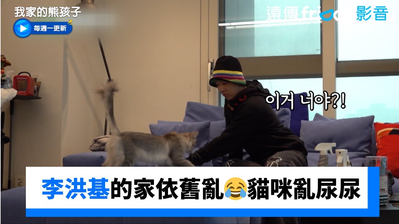 李洪基的家依舊很亂😂貓咪亂尿尿_《我家的熊孩子》第447集_friDay影音韓綜線上看