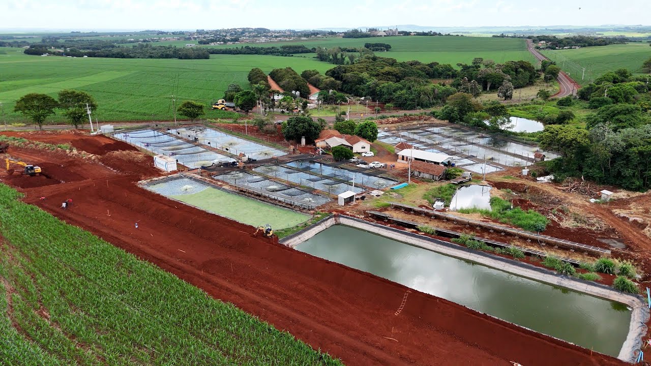 Produção de peixes atinge quase quase 1 milhão de toneladas no Brasil
