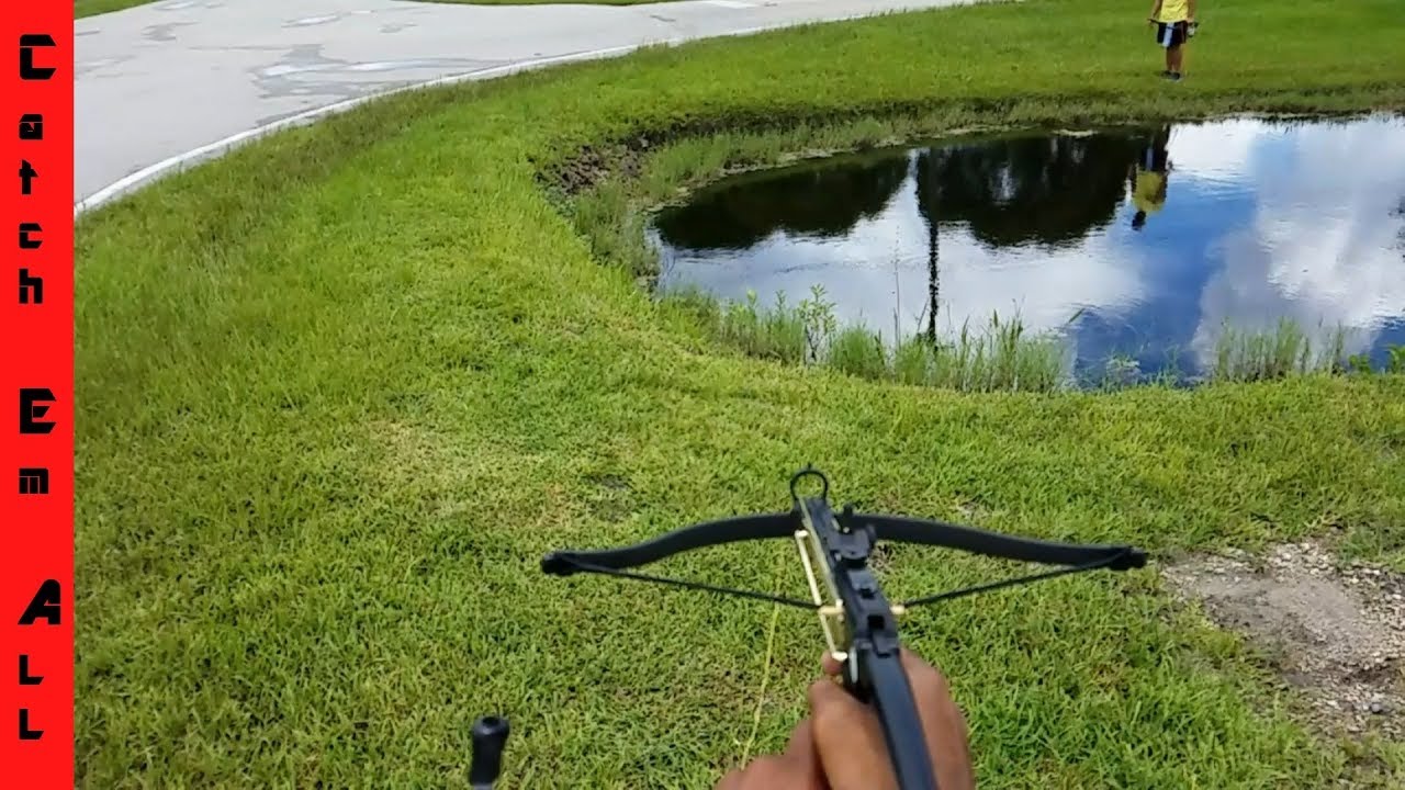 Mini CROSSBOW FISHING: SLOW MOTION SHOTS! New Spiderman Wrist reel!