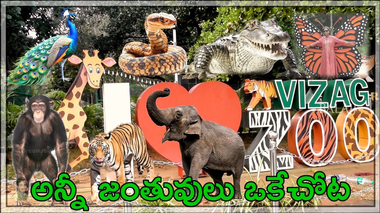 Vizag zoo park full video, Indira Gandhi Zoological Park, Vizag Zoo park