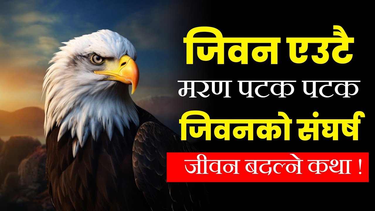 एक चिलको जीवन संघर्ष | Eagle Life Story | Motivational Story In Nepali