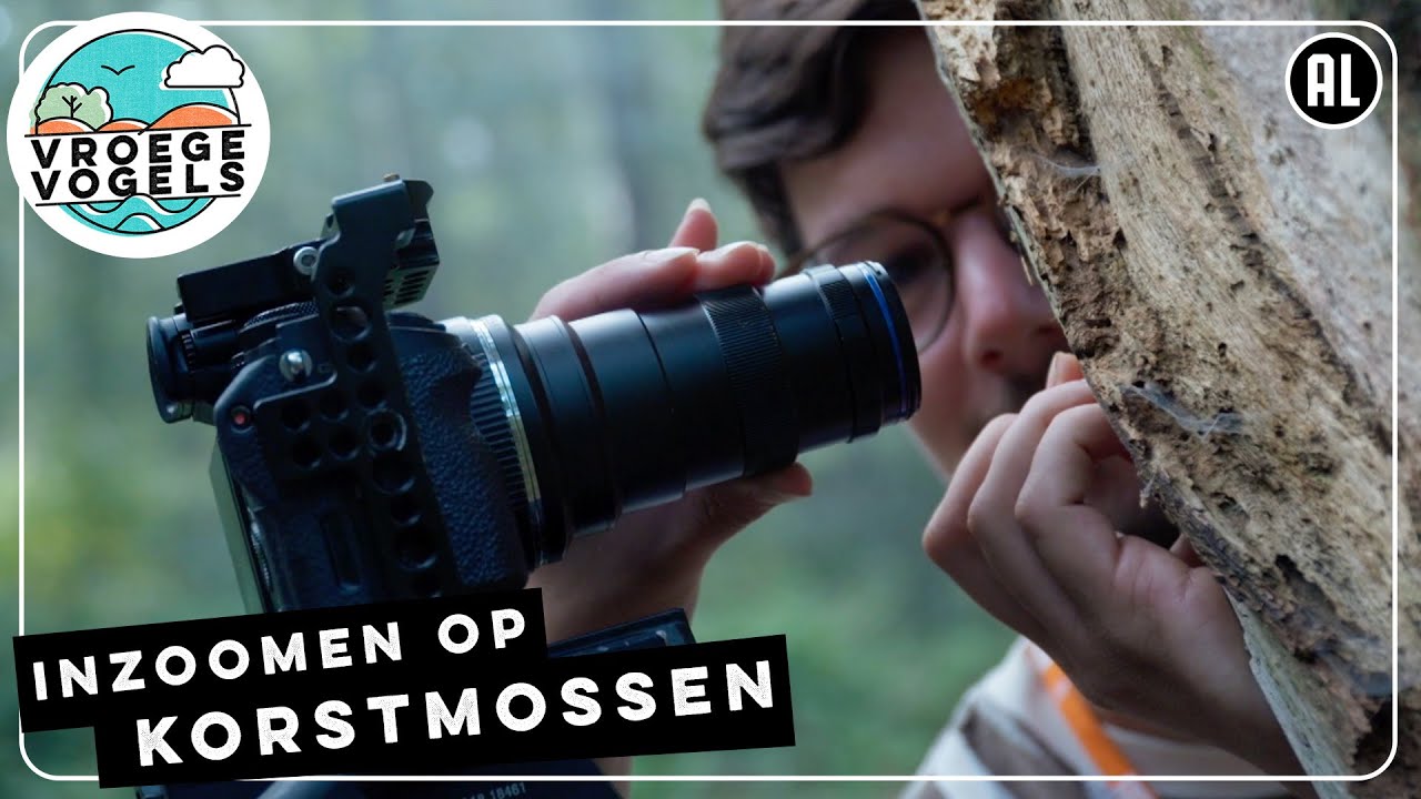 Inzoomen op korstmossen | TV | Vroege Vogels